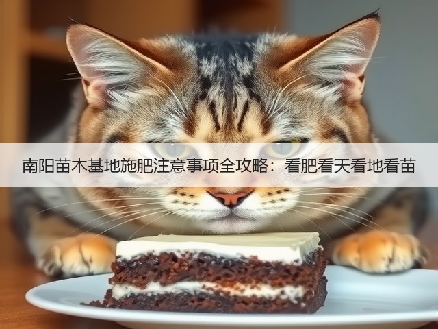 南阳苗木基地施肥注意事项全攻略:看肥看天看地看苗 南阳苗木基地施肥注意事项全攻略:看肥看天看地看苗
