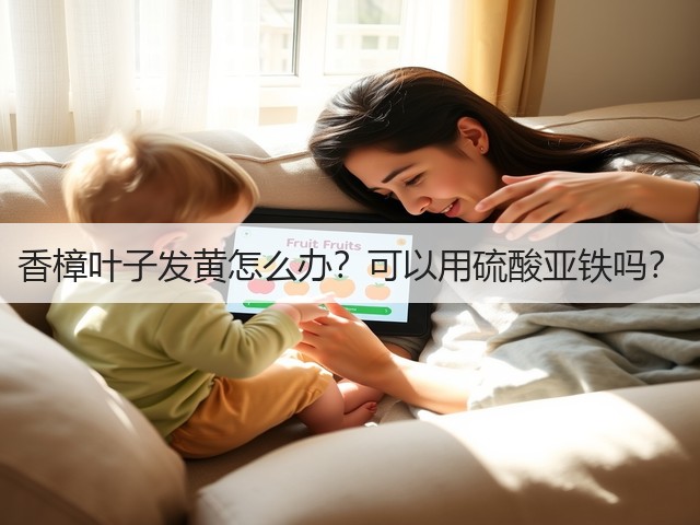 香樟叶子发黄怎么办?可以用硫酸亚铁吗? 香樟叶子发黄怎么办?可以用硫酸亚铁吗?