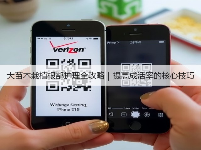 大苗木栽植根部护理全攻略|提高成活率的核心技巧 大苗木栽植根部护理全攻略|提高成活率的核心技巧