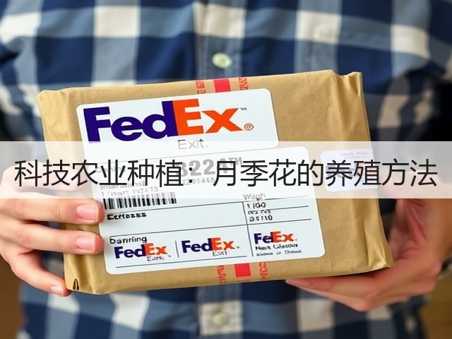 科技农业种植:月季花的养殖方法 科技农业种植:月季花的养殖方法