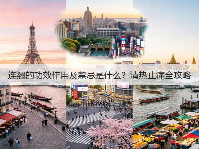 连翘的功效作用及禁忌是什么?清热止痛全攻略 连翘的功效作用及禁忌是什么?清热止痛全攻略