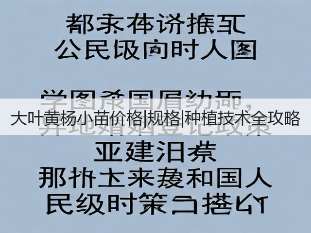 大叶黄杨小苗价格|规格|种植技术全攻略 大叶黄杨小苗价格|规格|种植技术全攻略