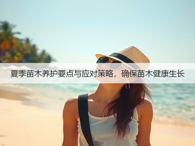 夏季苗木养护要点与应对策略，确保苗木健康生长