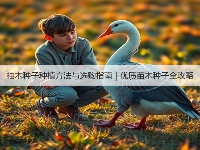 柚木种子种植方法与选购指南｜优质苗木种子全攻略