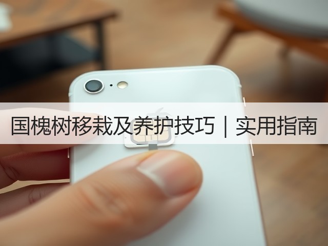 国槐树移栽及养护技巧|实用指南 国槐树移栽及养护技巧|实用指南