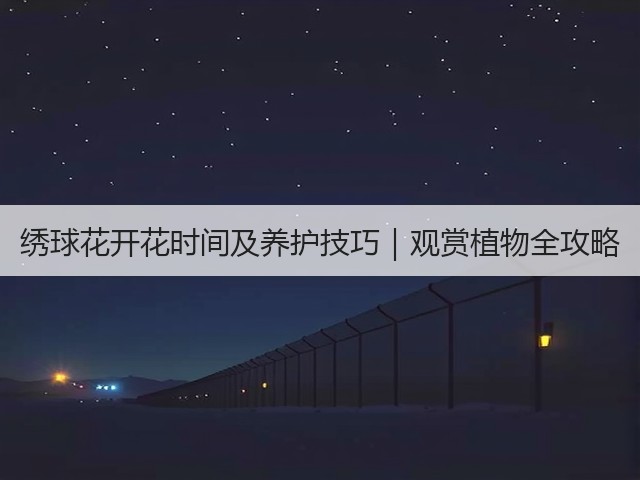 绣球花开花时间及养护技巧|观赏植物全攻略 绣球花开花时间及养护技巧|观赏植物全攻略