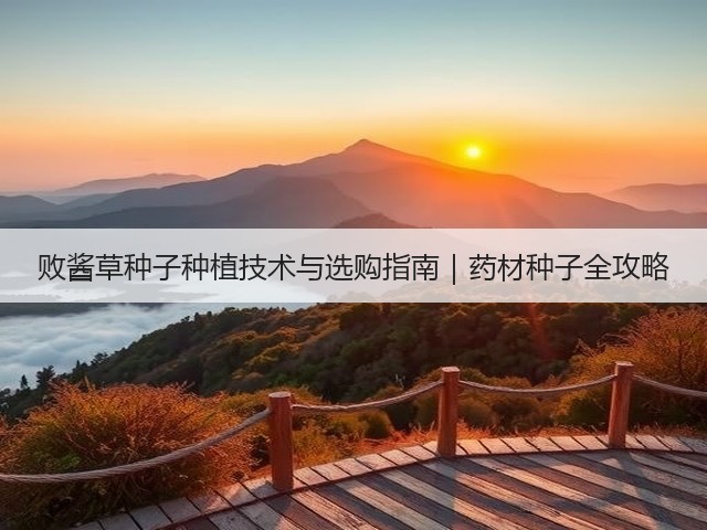 败酱草种子种植技术与选购指南｜药材种子全攻略