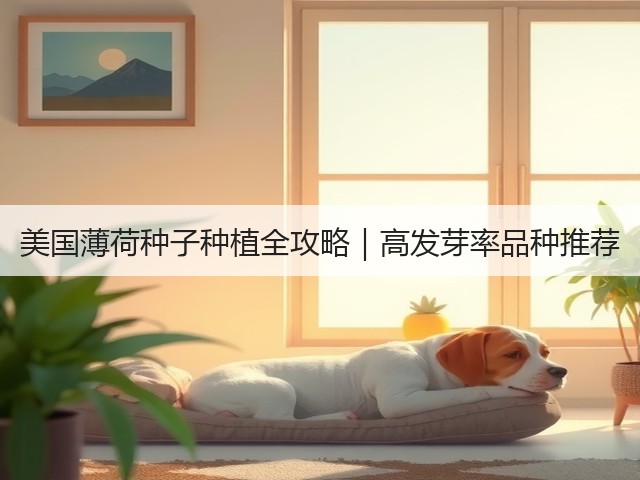 美国薄荷种子种植全攻略｜高发芽率品种推荐