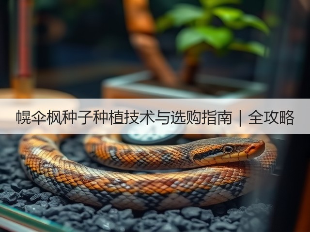 幌伞枫种子种植技术与选购指南｜全攻略