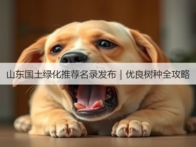 山东国土绿化推荐名录发布|优良树种全攻略 山东国土绿化推荐名录发布|优良树种全攻略