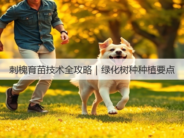 刺槐育苗技术全攻略｜绿化树种种植要点