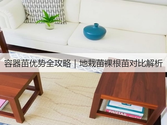 容器苗优势全攻略|地栽苗裸根苗对比解析 容器苗优势全攻略|地栽苗裸根苗对比解析