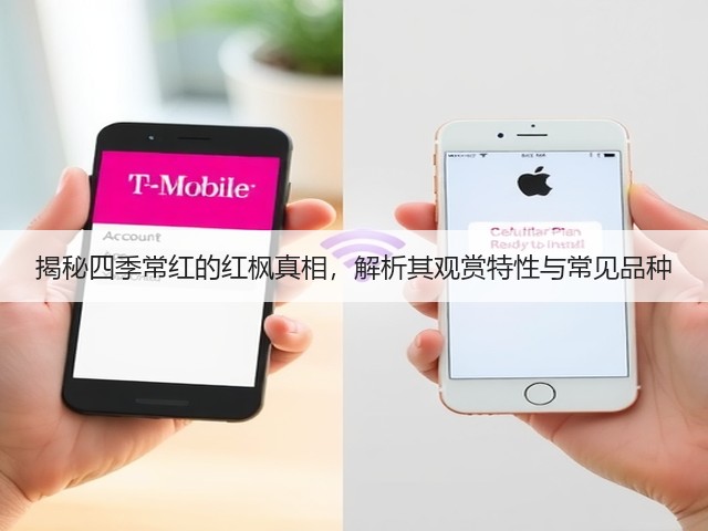 揭秘四季常红的红枫真相,解析其观赏特性与常见品种 揭秘四季常红的红枫真相,解析其观赏特性与常见品种