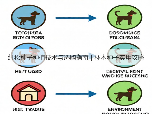 红松种子种植技术与选购指南｜林木种子实用攻略
