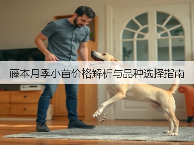 藤本月季小苗价格解析与品种选择指南 藤本月季小苗价格解析与品种选择指南