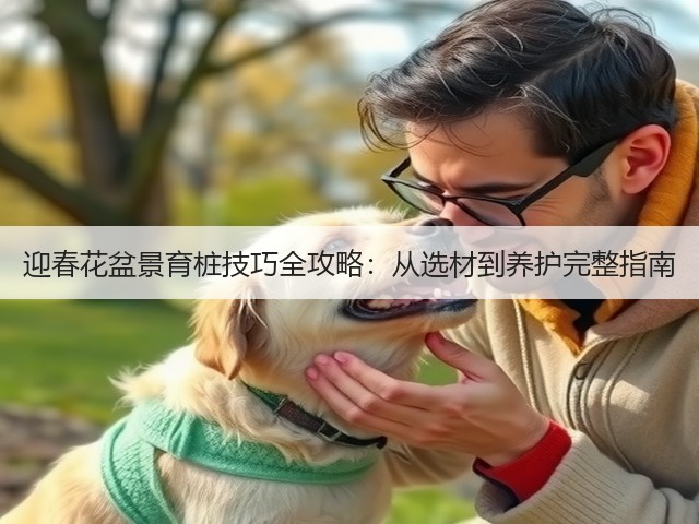 迎春花盆景育桩技巧全攻略：从选材到养护完整指南
