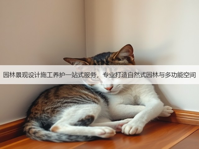 园林景观设计施工养护一站式服务,专业打造自然式园林与多功能空间 园林景观设计施工养护一站式服务,专业打造自然式园林与多功能空间