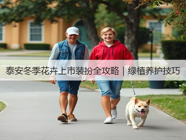 泰安冬季花卉上市装扮全攻略|绿植养护技巧 泰安冬季花卉上市装扮全攻略|绿植养护技巧