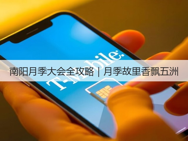 南阳月季大会全攻略｜月季故里香飘五洲