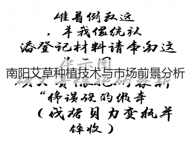 南阳艾草种植技术与市场前景分析 南阳艾草种植技术与市场前景分析