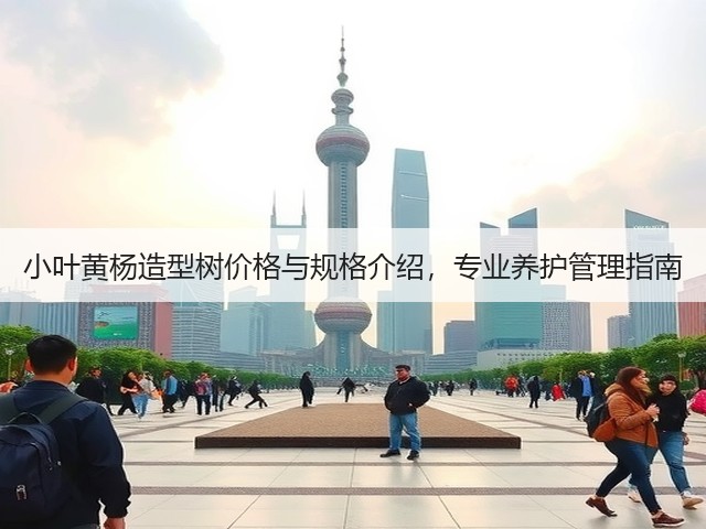 小叶黄杨造型树价格与规格介绍,专业养护管理指南 小叶黄杨造型树价格与规格介绍,专业养护管理指南