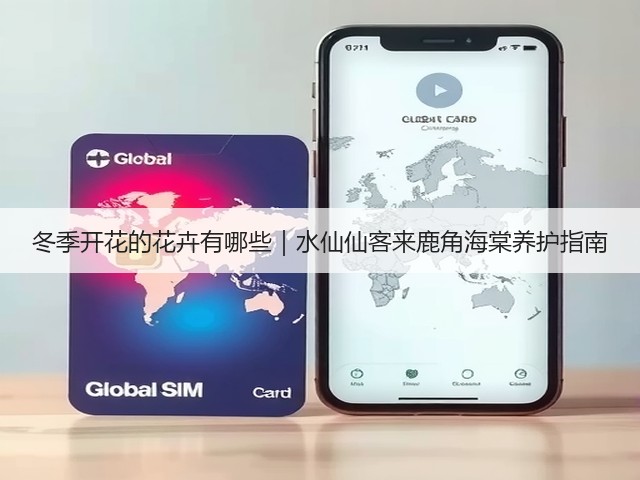 冬季开花的花卉有哪些｜水仙仙客来鹿角海棠养护指南