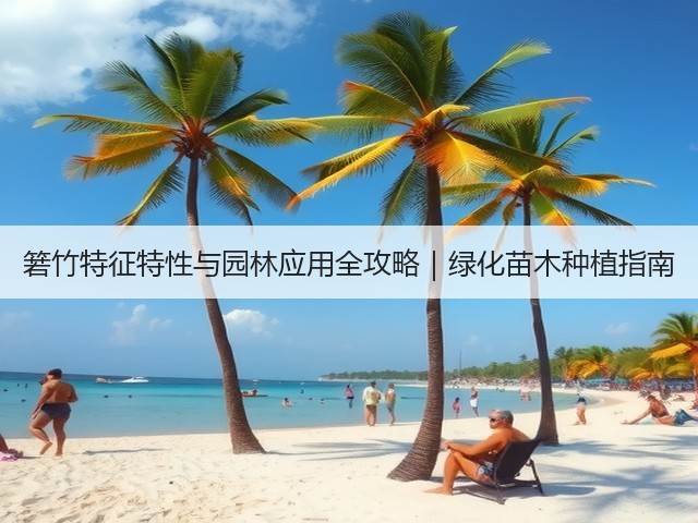 箬竹特征特性与园林应用全攻略|绿化苗木种植指南 箬竹特征特性与园林应用全攻略|绿化苗木种植指南