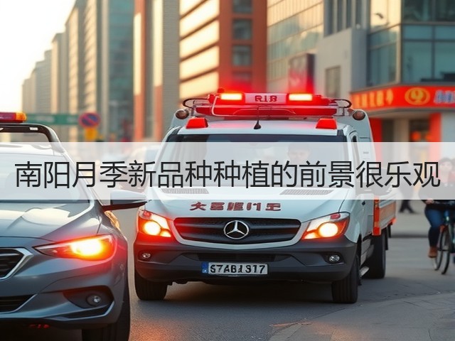 南阳月季新品种种植的前景很乐观 南阳月季新品种种植的前景很乐观