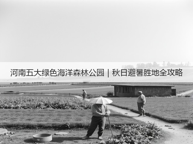 河南五大绿色海洋森林公园|秋日避暑胜地全攻略 河南五大绿色海洋森林公园|秋日避暑胜地全攻略