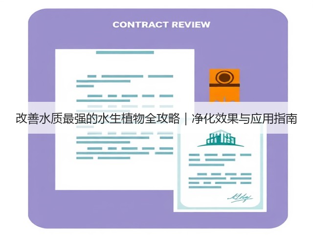 改善水质最强的水生植物全攻略|净化效果与应用指南 改善水质最强的水生植物全攻略|净化效果与应用指南