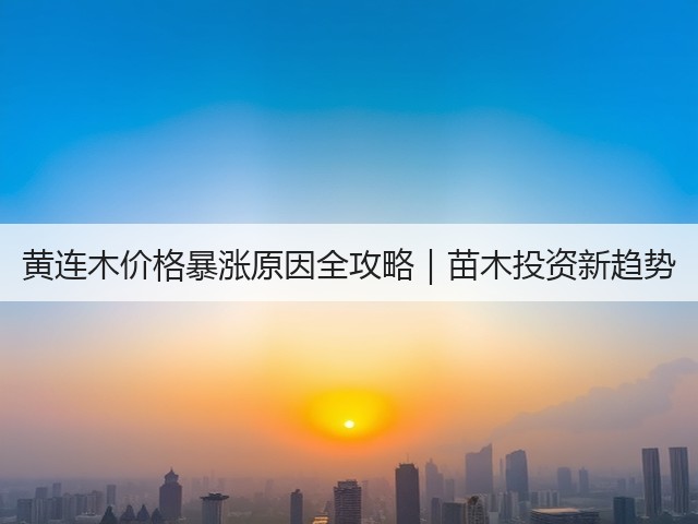 黄连木价格暴涨原因全攻略|苗木投资新趋势 黄连木价格暴涨原因全攻略|苗木投资新趋势