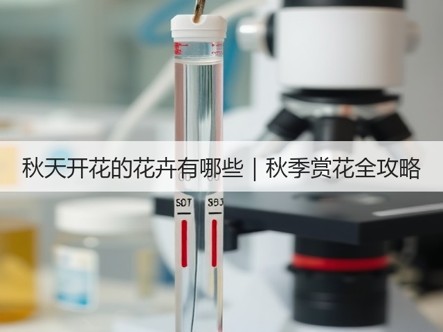 秋天开花的花卉有哪些|秋季赏花全攻略 秋天开花的花卉有哪些|秋季赏花全攻略