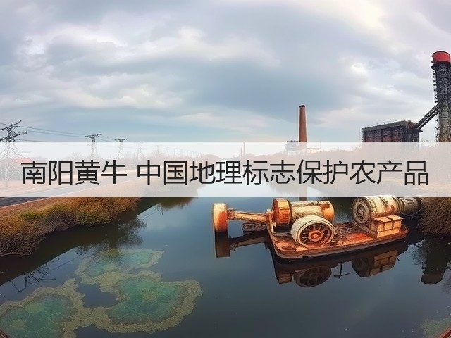 南阳黄牛 中国地理标志保护农产品