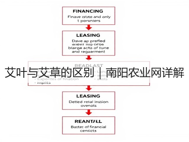 艾叶与艾草的区别|南阳农业网详解 艾叶与艾草的区别|南阳农业网详解