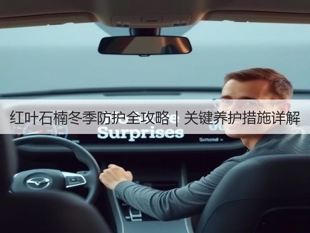 红叶石楠冬季防护全攻略｜关键养护措施详解