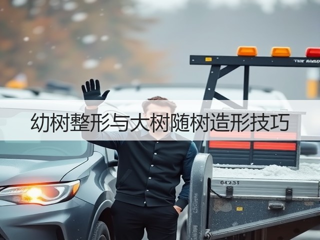 幼树整形与大树随树造形技巧
