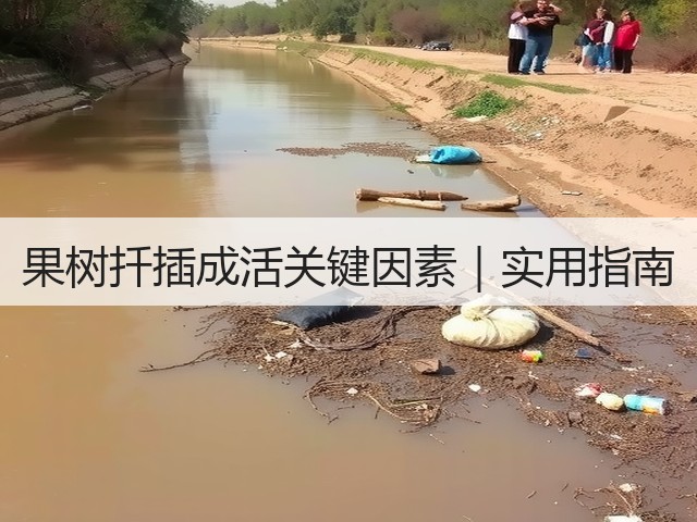 果树扦插成活关键因素|实用指南 果树扦插成活关键因素|实用指南
