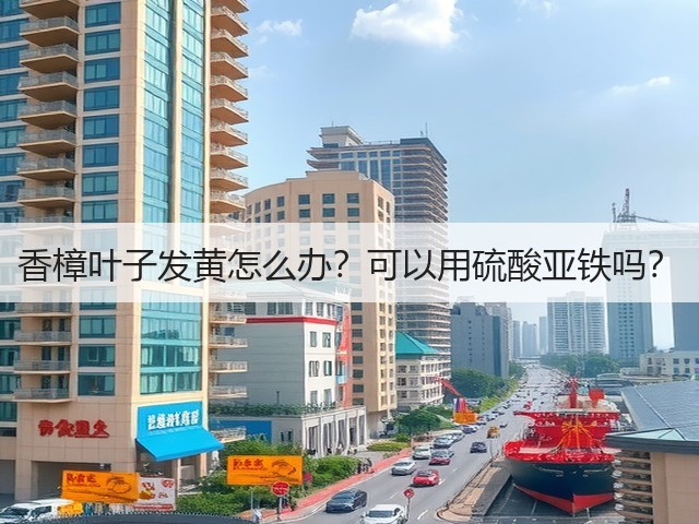 香樟叶子发黄怎么办?可以用硫酸亚铁吗? 香樟叶子发黄怎么办?可以用硫酸亚铁吗?