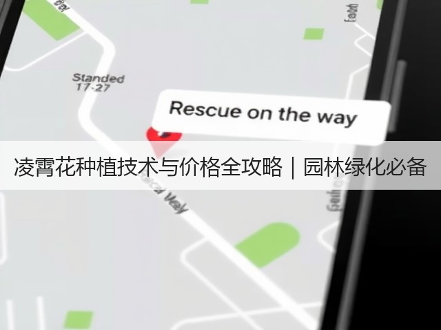 凌霄花种植技术与价格全攻略｜园林绿化必备