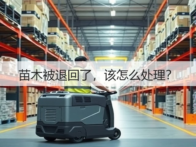苗木被退回了,该怎么处理? 苗木被退回了,该怎么处理?