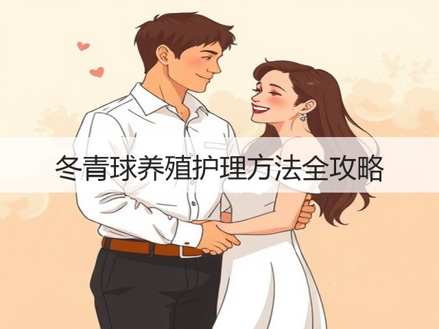 冬青球养殖护理方法全攻略 冬青球养殖护理方法全攻略