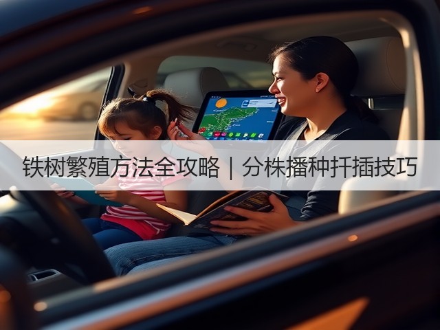 铁树繁殖方法全攻略|分株播种扦插技巧 铁树繁殖方法全攻略|分株播种扦插技巧