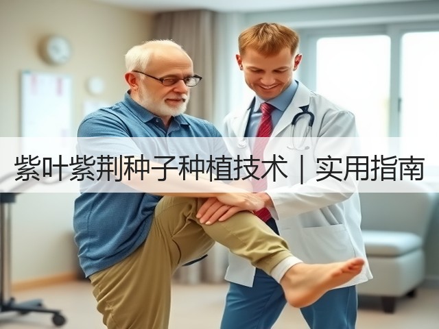 紫叶紫荆种子种植技术｜实用指南