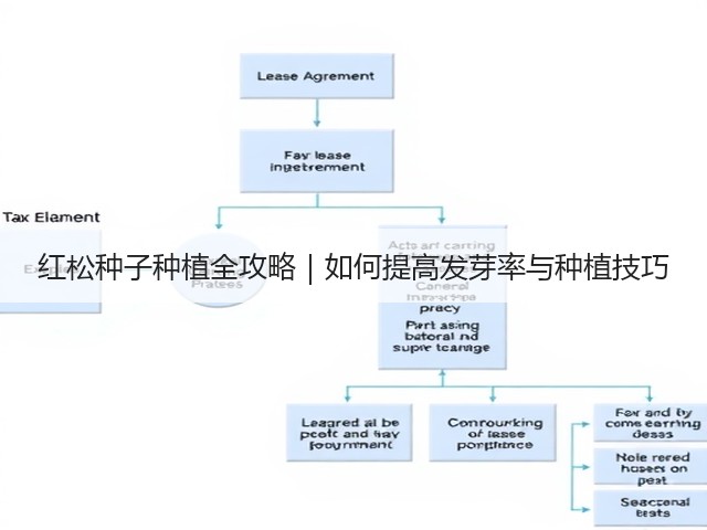红松种子种植全攻略｜如何提高发芽率与种植技巧