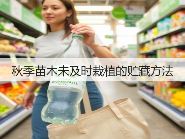 秋季苗木未及时栽植的贮藏方法