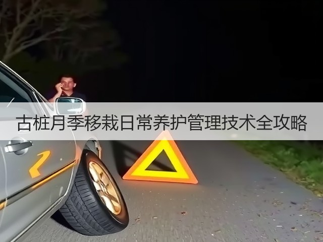 古桩月季移栽日常养护管理技术全攻略 古桩月季移栽日常养护管理技术全攻略