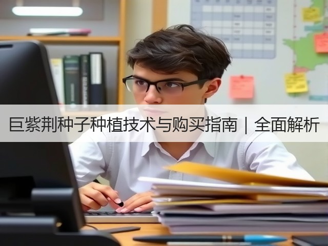 巨紫荆种子种植技术与购买指南｜全面解析