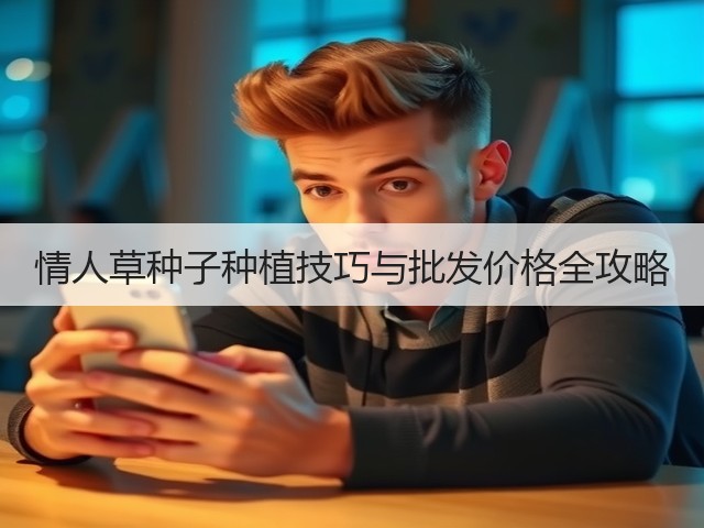 情人草种子种植技巧与批发价格全攻略