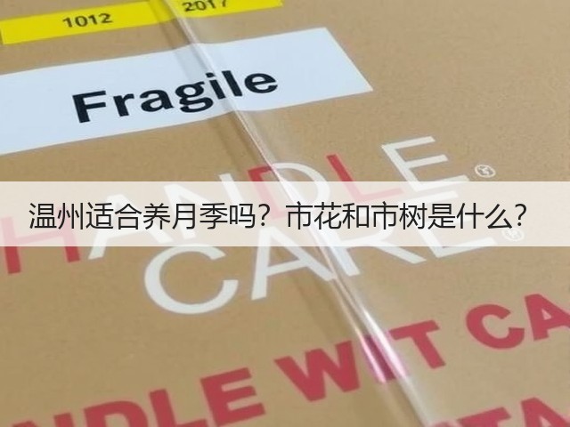 温州适合养月季吗?市花和市树是什么? 温州适合养月季吗?市花和市树是什么?