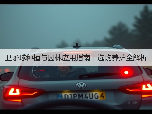卫矛球种植与园林应用指南｜选购养护全解析